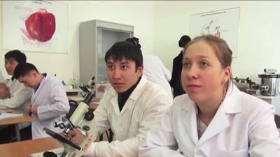 Модернизация технического и профессионального образования